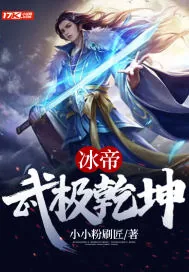 《冰帝：武极乾坤》小说封面