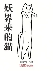 《妖界来的猫》小说封面