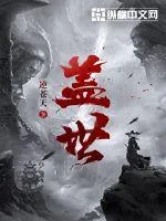 《盖世》小说封面