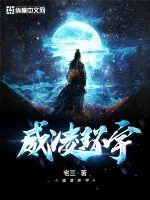 《威凌环宇》小说封面