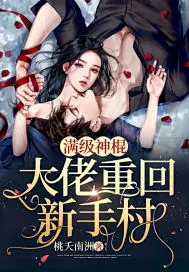 《满级神棍大佬重回新手村》小说封面