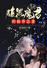《腹黑魔君的仙界怂妻》小说封面
