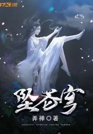《坠苍穹》小说封面