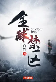 《全球禁区》小说封面