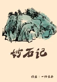 《妙石记》小说封面
