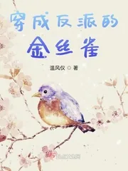 《穿成反派的金丝雀》小说封面
