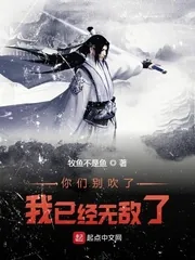 《你们别吹了我已经无敌了》小说封面