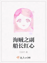 《海贼之副船长红心》小说封面