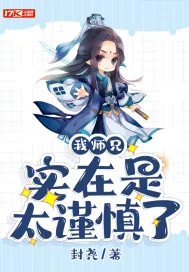 《我师兄实在是太谨慎了》小说封面