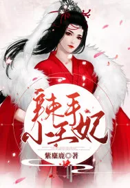 《辣手小王妃》小说封面