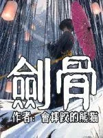 《剑骨》小说封面