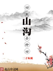 《回到山沟去种田》小说封面