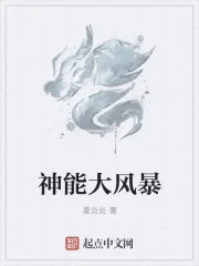 《神能大风暴》小说封面