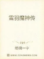 《雪羽魔神传》小说封面