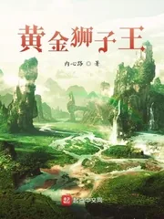 《黄金狮子王》小说封面