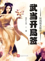 《武当开局签到纯阳无极功》小说封面