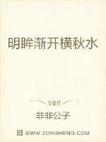 《明眸渐开横秋水》小说封面