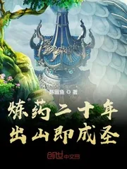 《炼药二十年，出山即成圣》小说封面