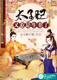 《太子妃又惹是生非了》小说封面