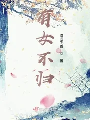 《有女不归》小说封面