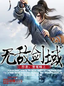 《无敌剑域》小说封面