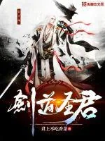 《剑道圣君》小说封面