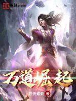 《万道崛起》小说封面