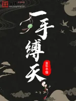 《一手缚天》小说封面