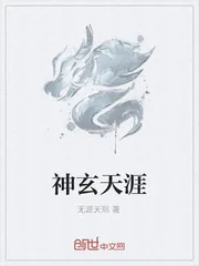 《神玄天涯》小说封面