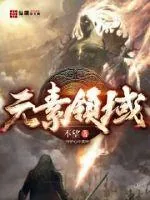 《元素领域》小说封面