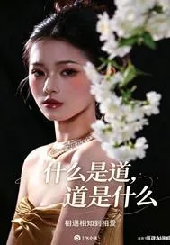 《什么是道,道是什么》小说封面
