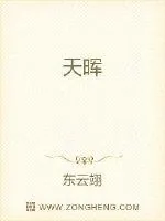 《天晖》小说封面