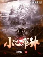 《小心飞升》小说封面