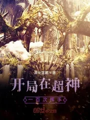 《开局在超神一百次挥手》小说封面