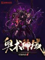 《奥术神域》小说封面