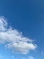 《每个宝贝都有秘密》小说封面