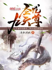 《圣龙九天尊》小说封面