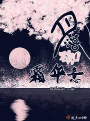 《月落不知霜华意》小说封面