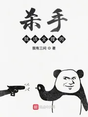 《杀手就该全撑肉》小说封面