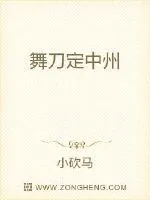 《舞刀定中州》小说封面