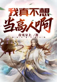 《我真不想当高人啊》小说封面