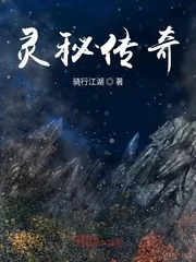 《灵秘传奇》小说封面