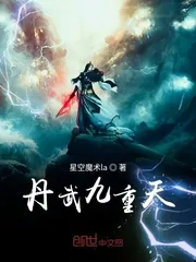 《丹武九重天》小说封面