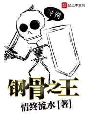 《钢骨之王》小说封面