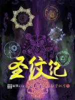 《圣纹纪》小说封面