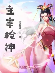 《主宰枪神》小说封面