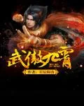 《武傲九霄》小说封面