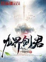 《九界剑君》小说封面