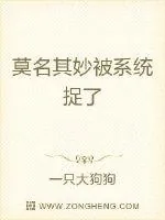 《莫名其妙被系统捉了》小说封面