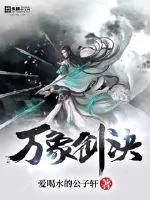 《万象剑诀》小说封面